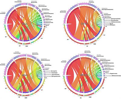 Comparative Metagenomics of Cellulose- and Poplar Hydrolysate-Degrading Microcosms from Gut Microflora of the Canadian Beaver (Castor canadensis) and North American Moose (Alces americanus) after Long-Term Enrichment